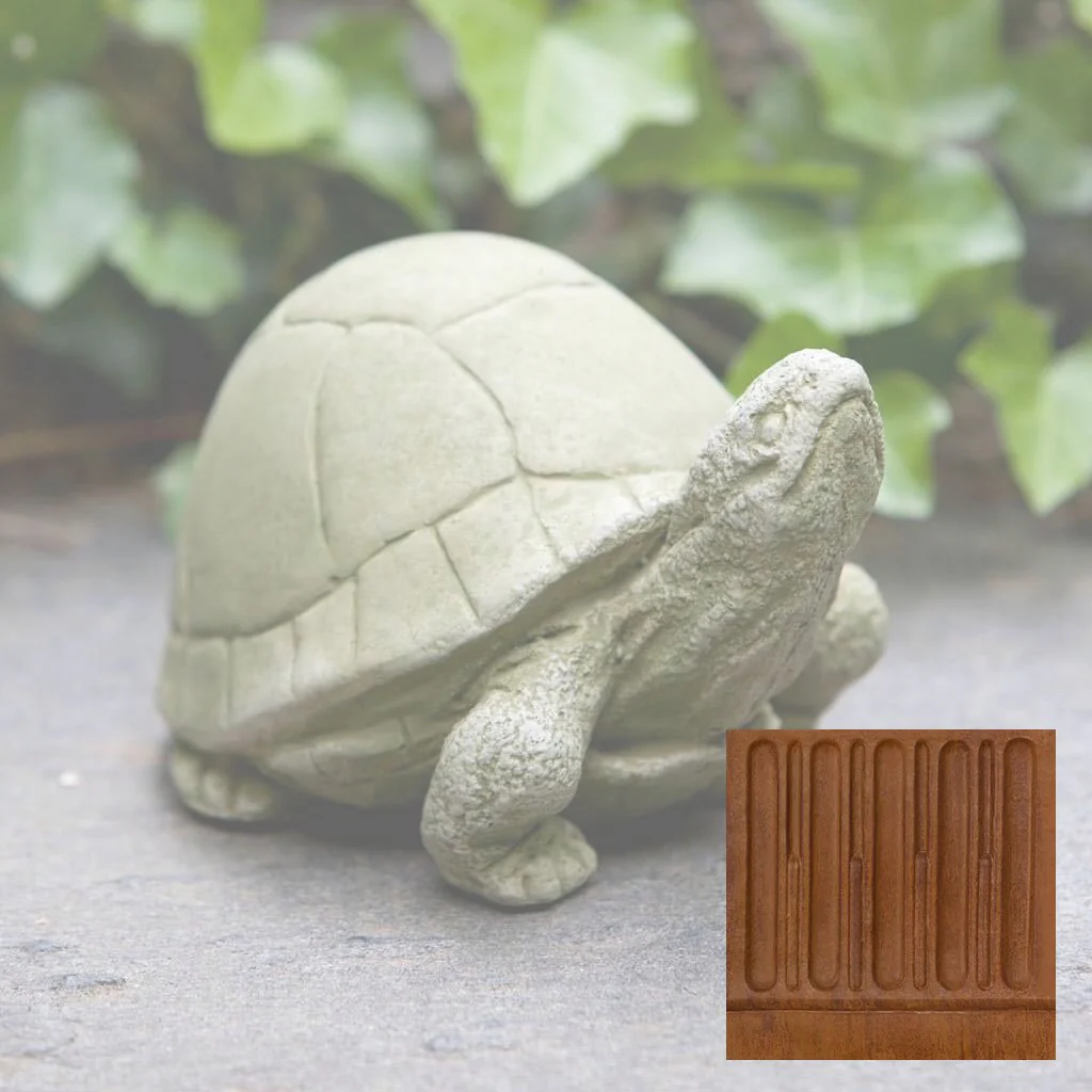 Box Turtle - Image 10