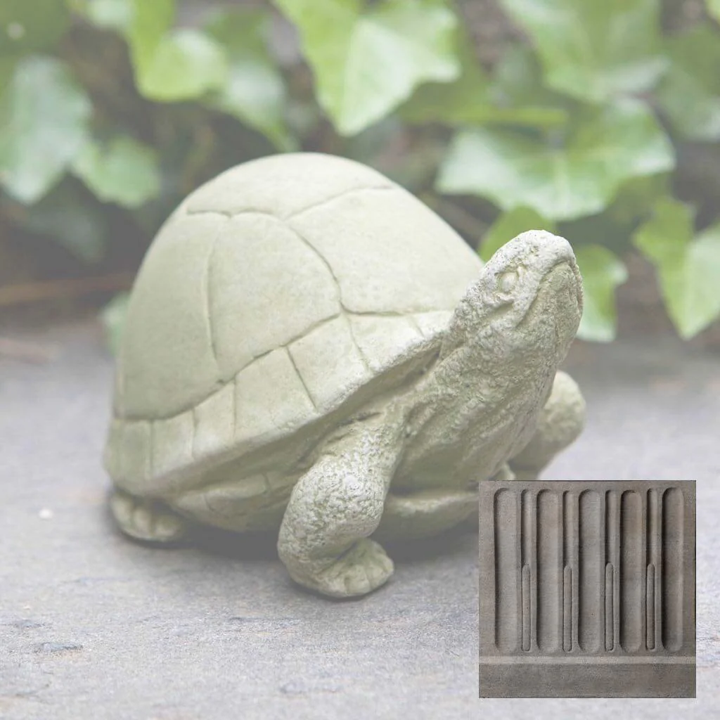 Box Turtle - Image 14