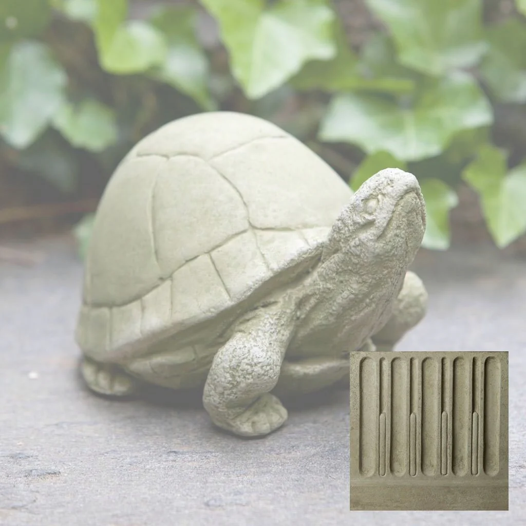 Box Turtle - Image 9