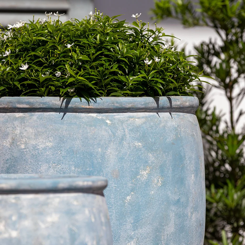 Brooke Planter || Murano Celeste - Image 4