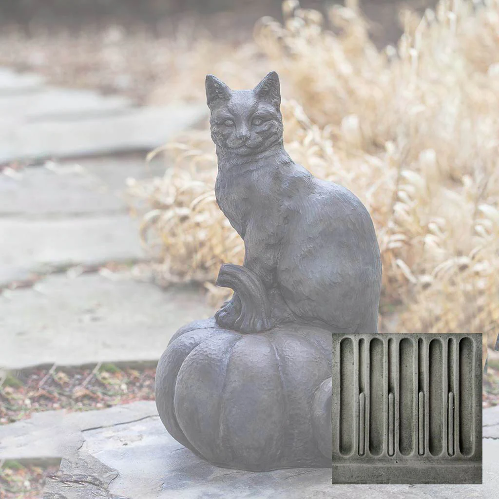 Cat on Pumpkin - Image 3