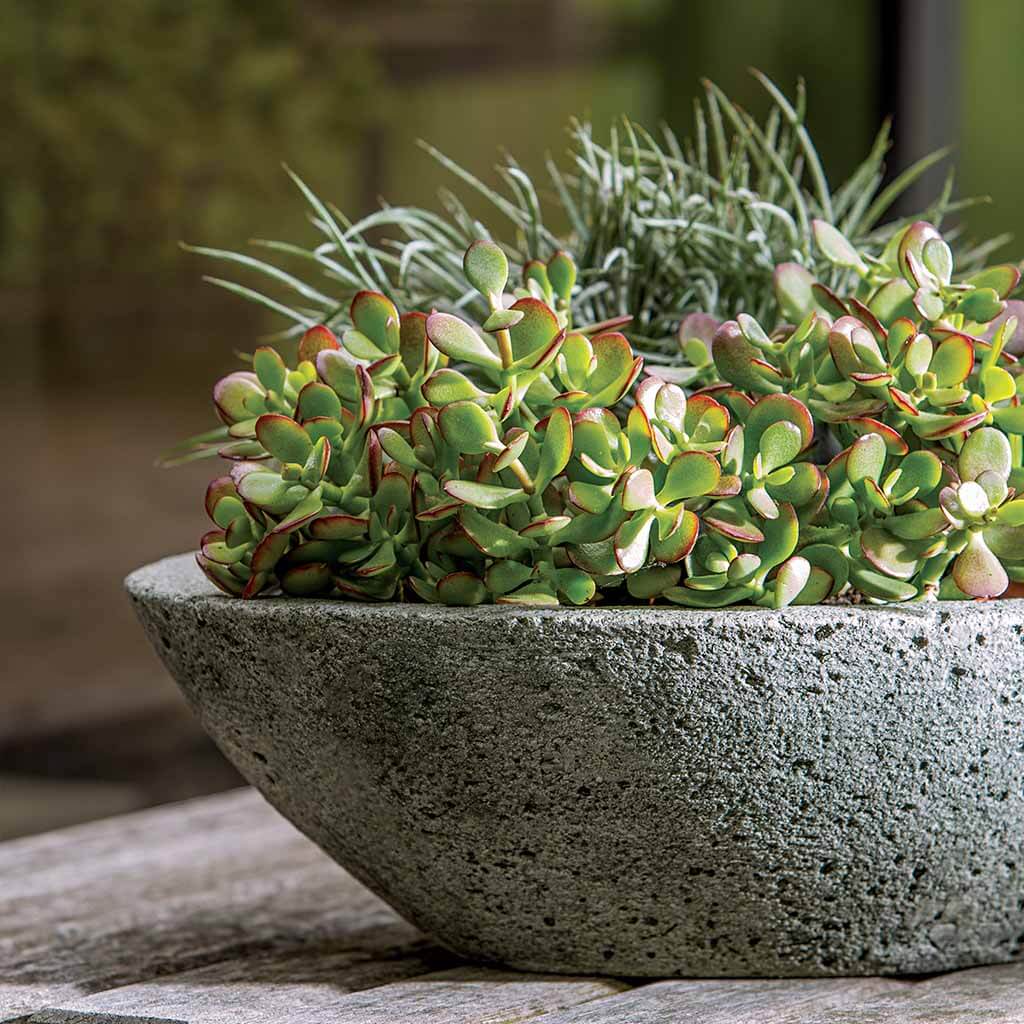 Celine Planter - Image 2