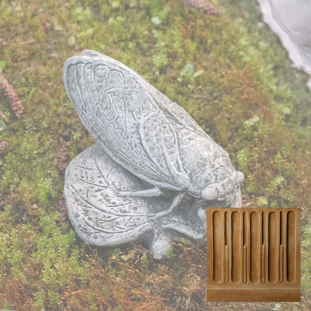 Cicada - Image 14
