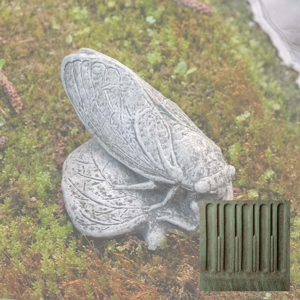 Cicada - Image 4
