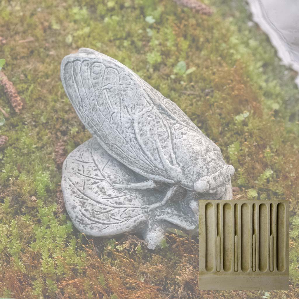 Cicada - Image 6
