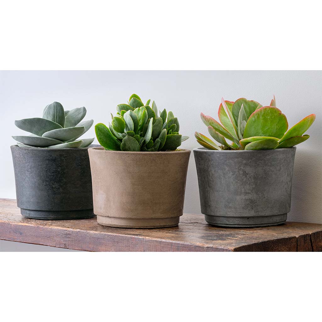 Cloche Planter - Terrace - Image 6