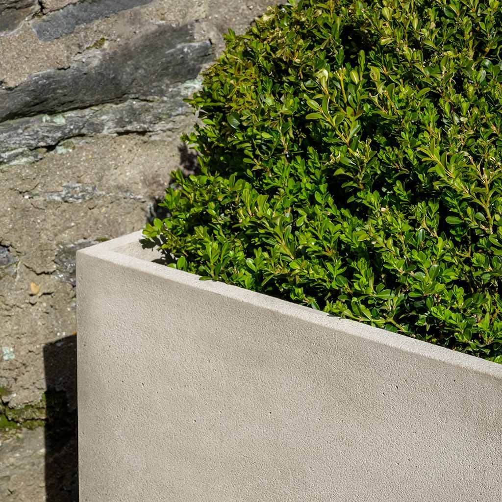 Cube Series Planter - Image 2