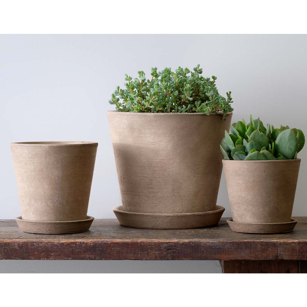 Essential Planter - Image 3