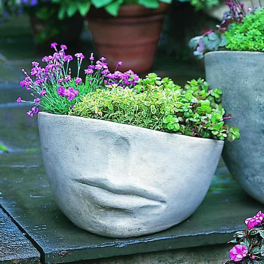 Faccia Planter - Image 48