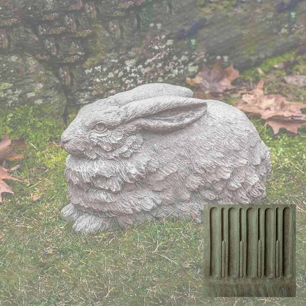 Flemish Hare - Image 5