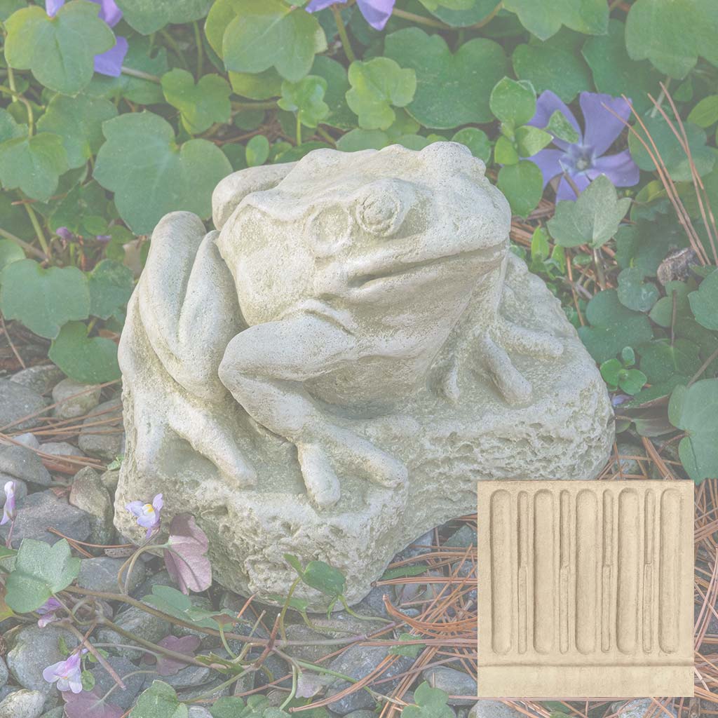 Forest Frog - Image 6