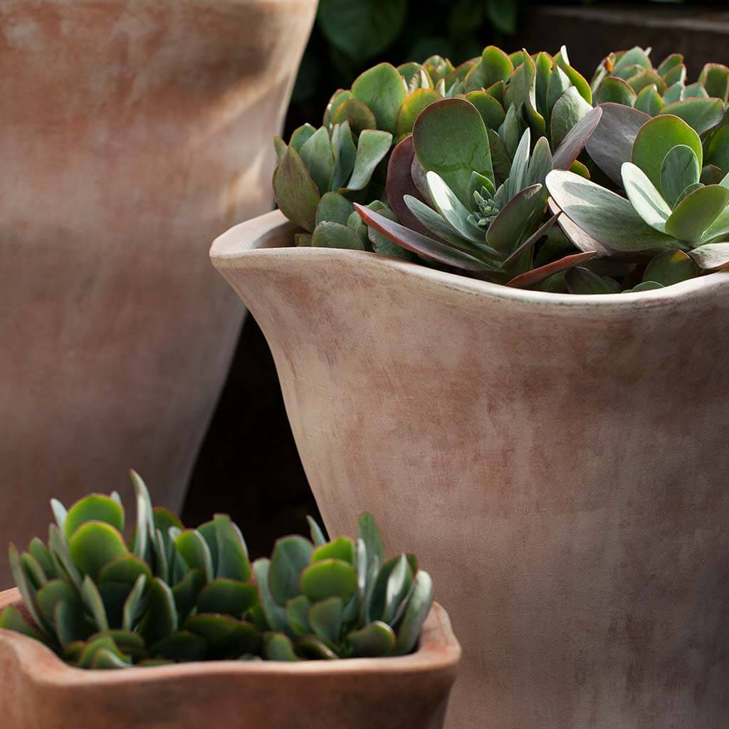 Foxglove Tall Planter || Terra Cotta - Image 2