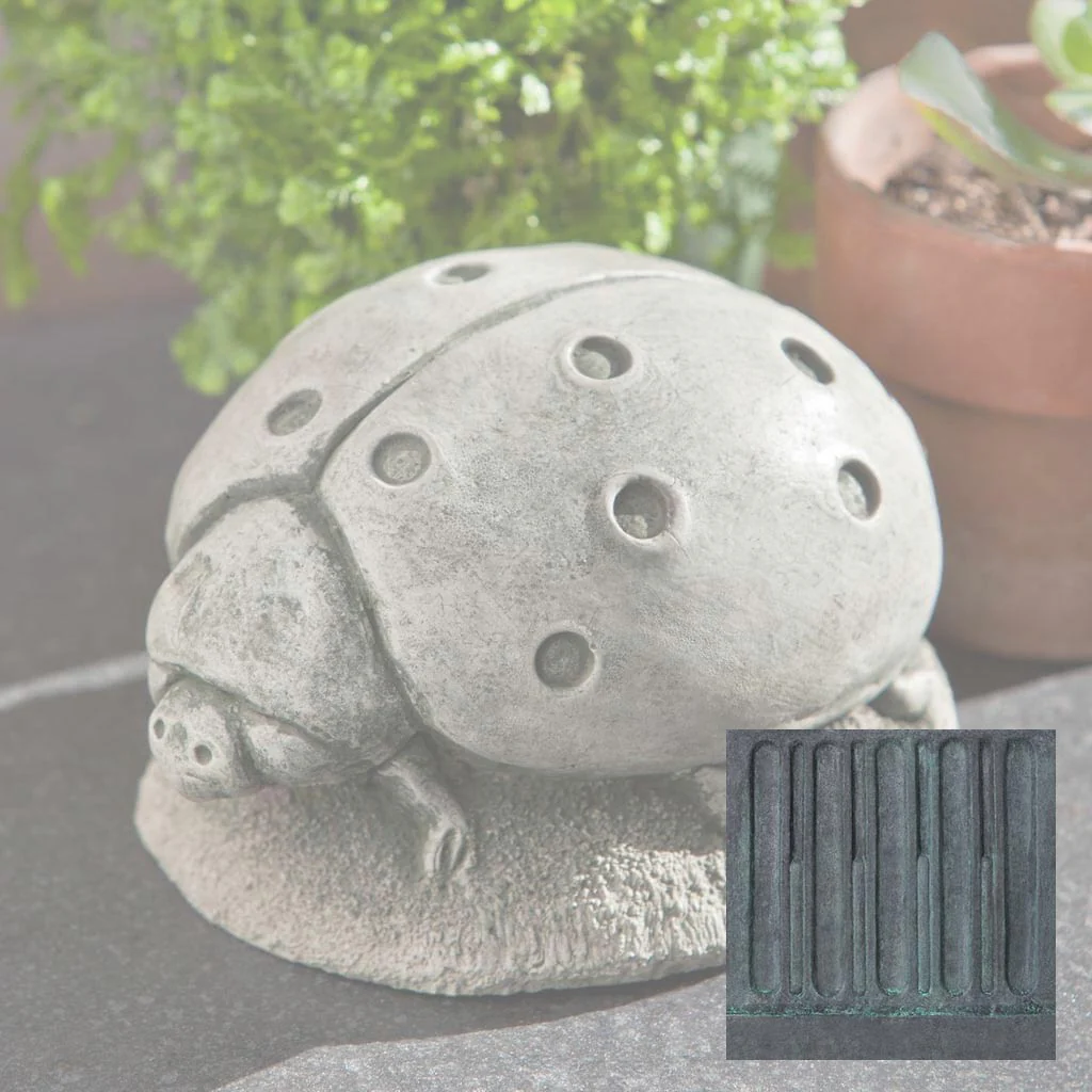 Ladybug - Image 13