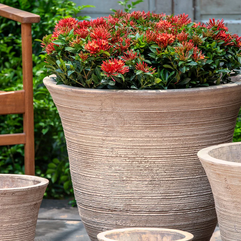 Lapo Planter || Antico Terra Cotta - Image 2