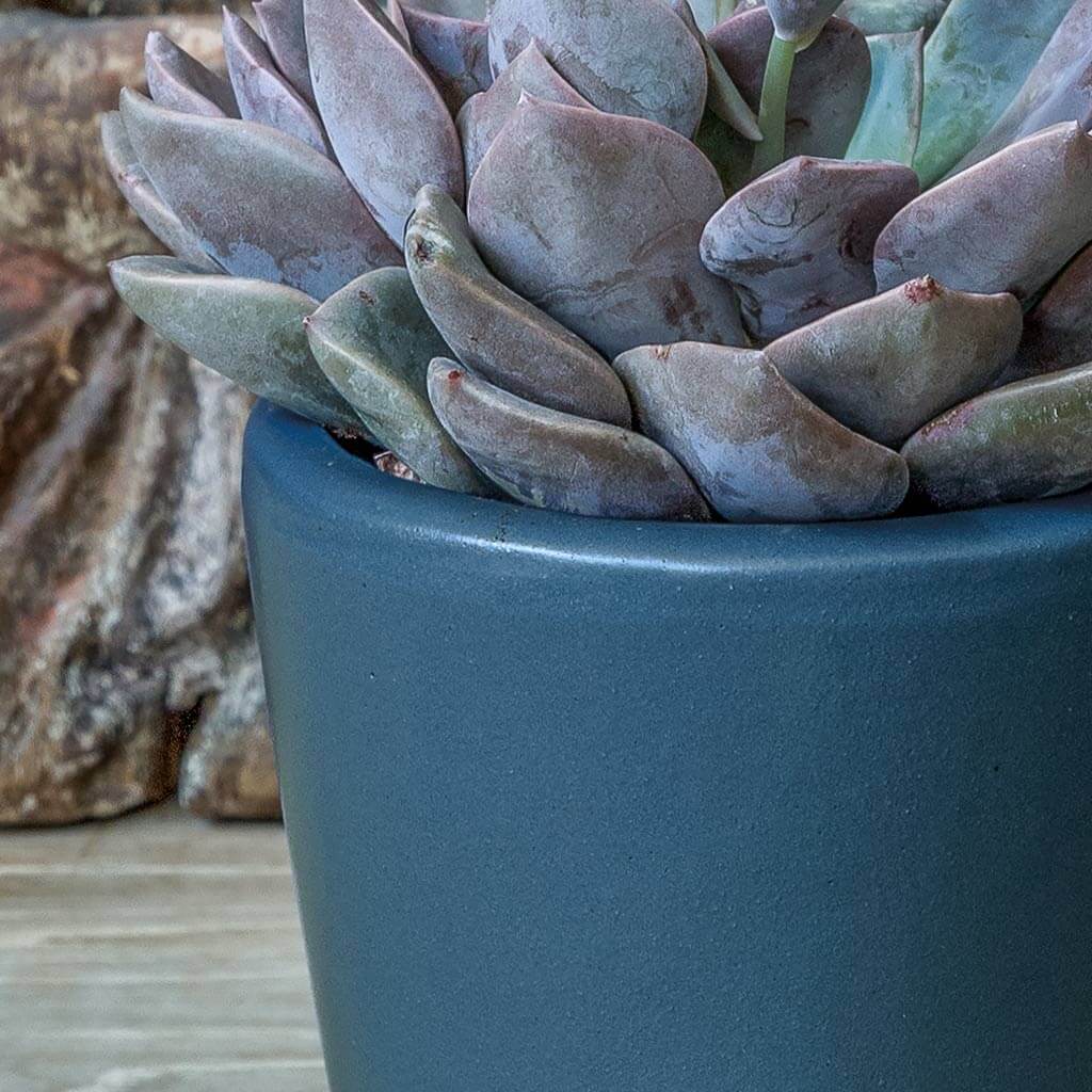 Nikki Planter || Nautical Blue - Image 3