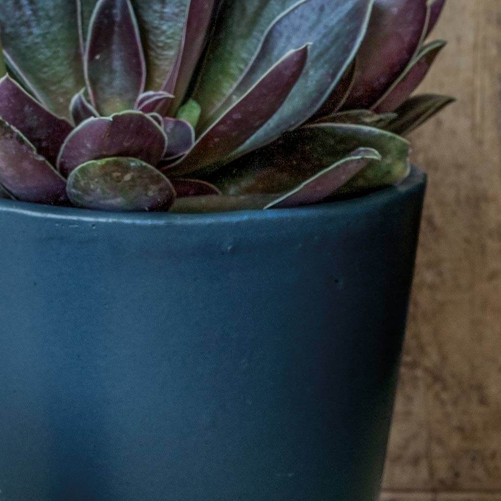 Nikki Planter || Nautical Blue - Image 4