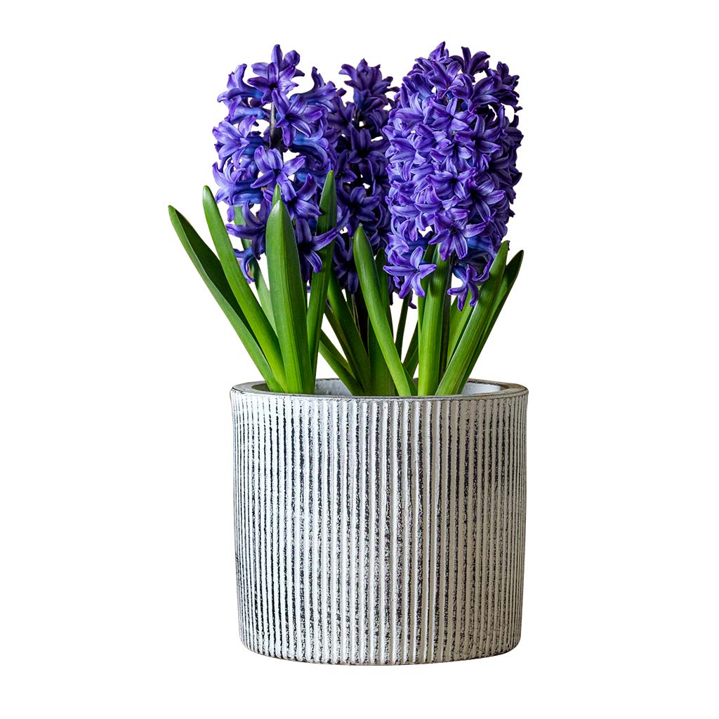 Pleated Planter || Dusty White - Image 5