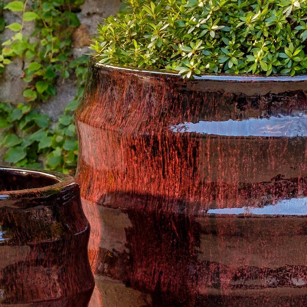 Pomerol Planter || Bordeaux - Image 2