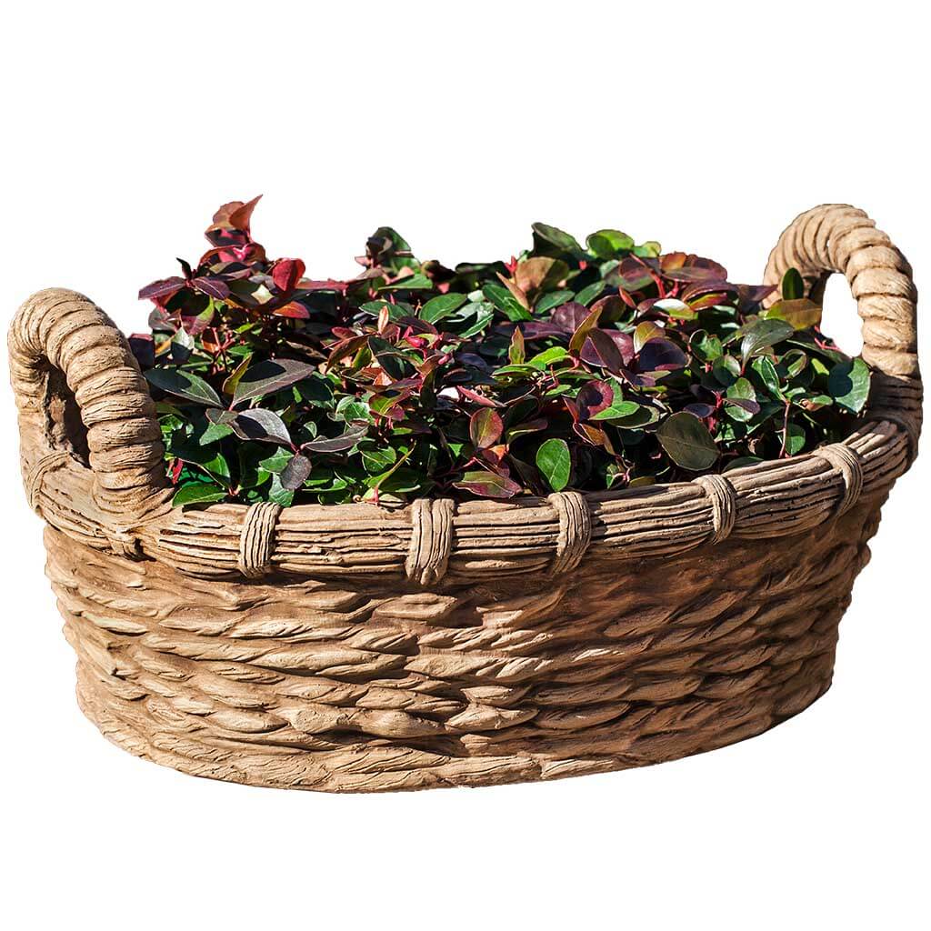 Provencal Basket Planter - Image 2