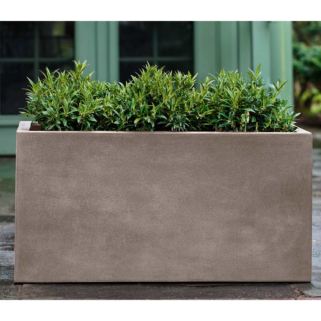 Sandal Planter - Image 18