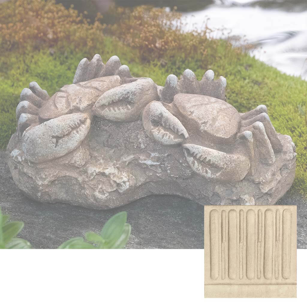 Sea Crab Fossil - Image 8