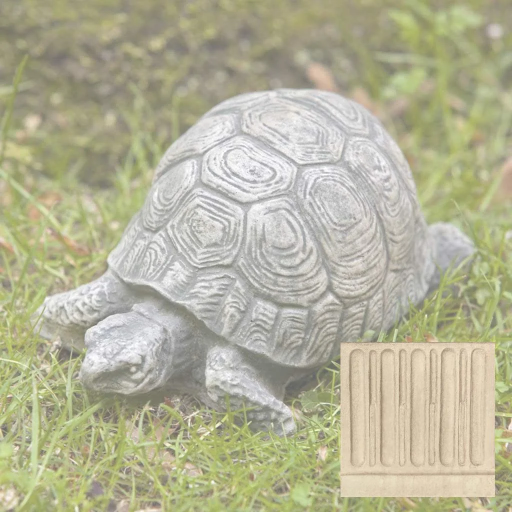 Small Turtle - Image 12