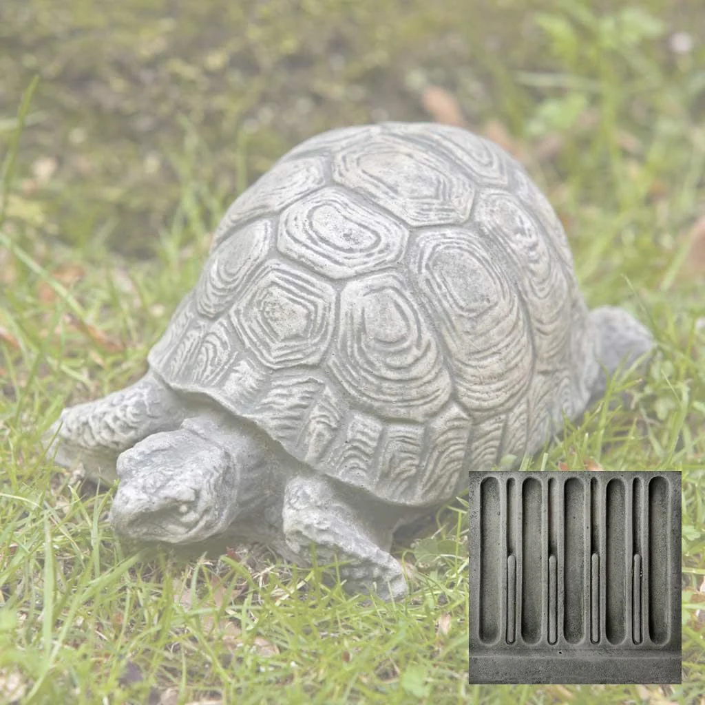 Small Turtle - Image 16