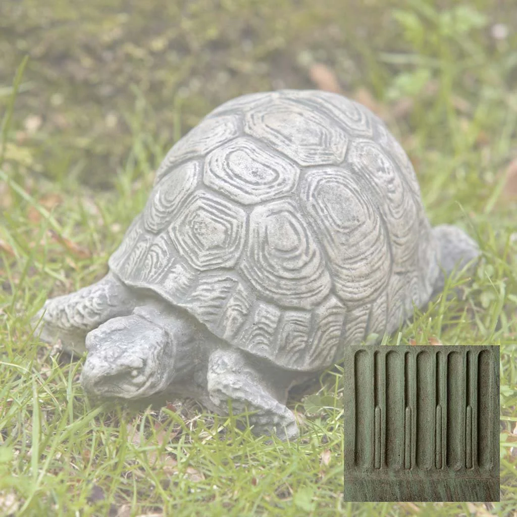 Small Turtle - Image 4