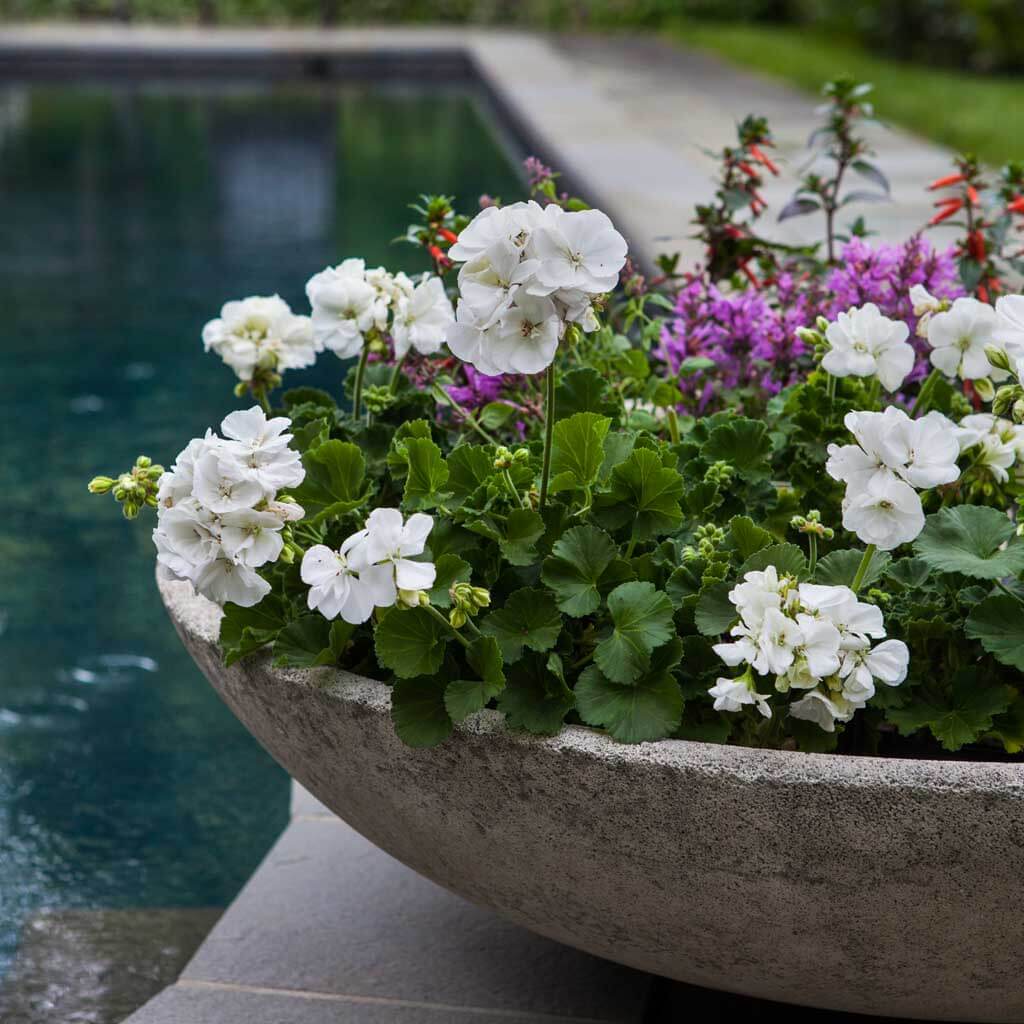 Textured Zen Bowl - Image 2
