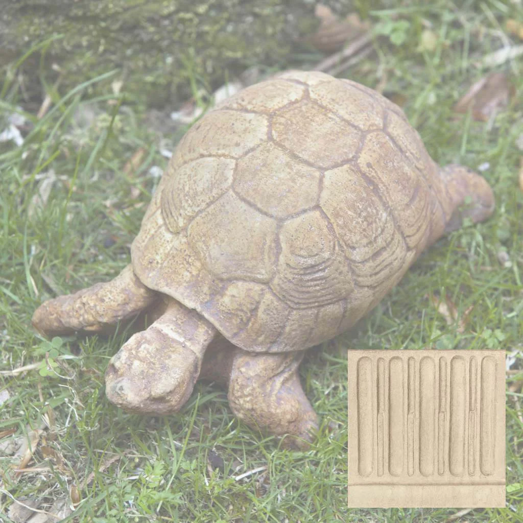 Turtle - Image 13
