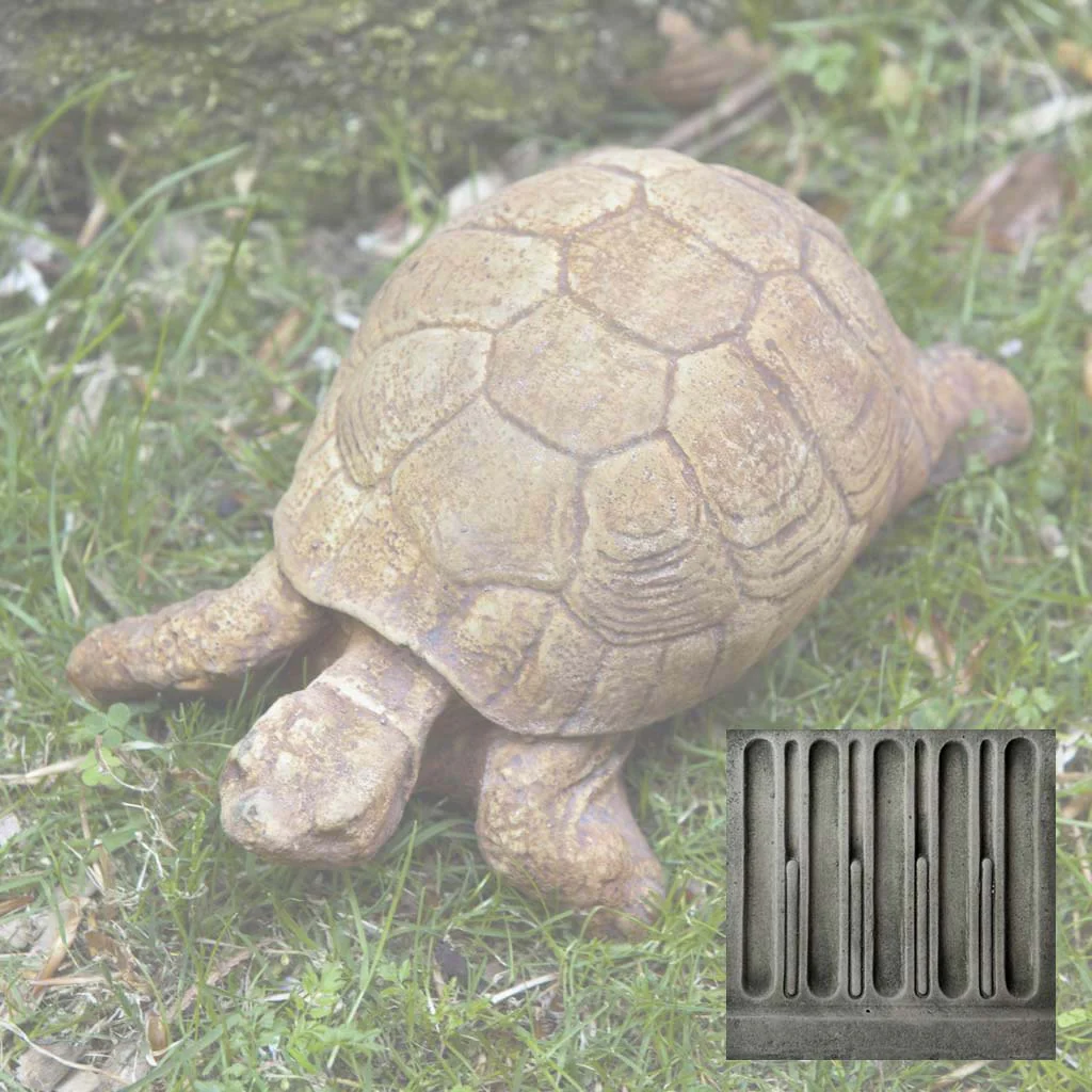 Turtle - Image 4