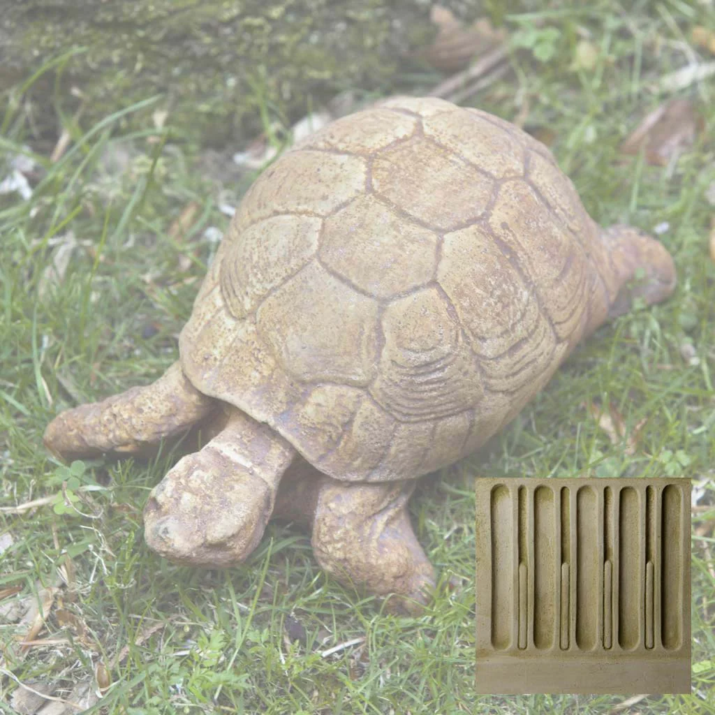 Turtle - Image 5