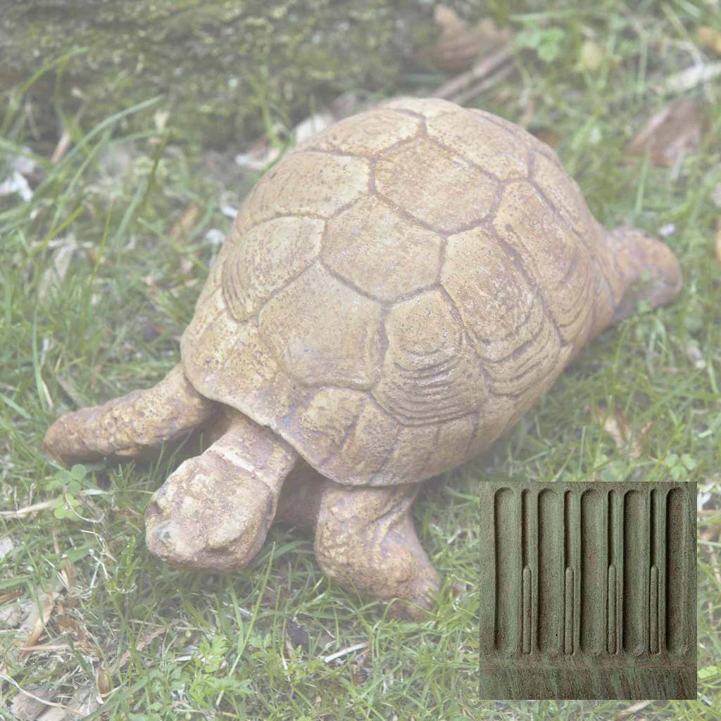 Turtle - Image 6
