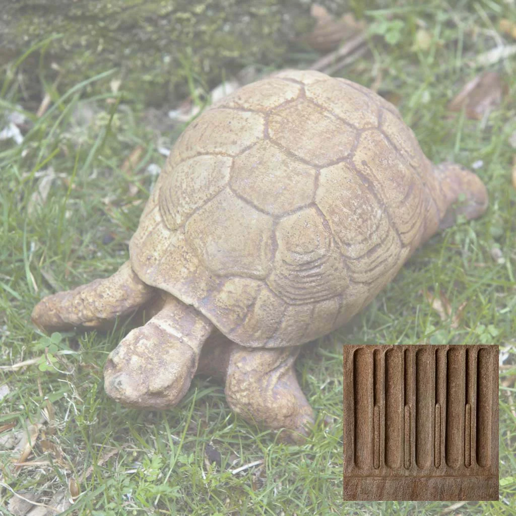 Turtle - Image 7