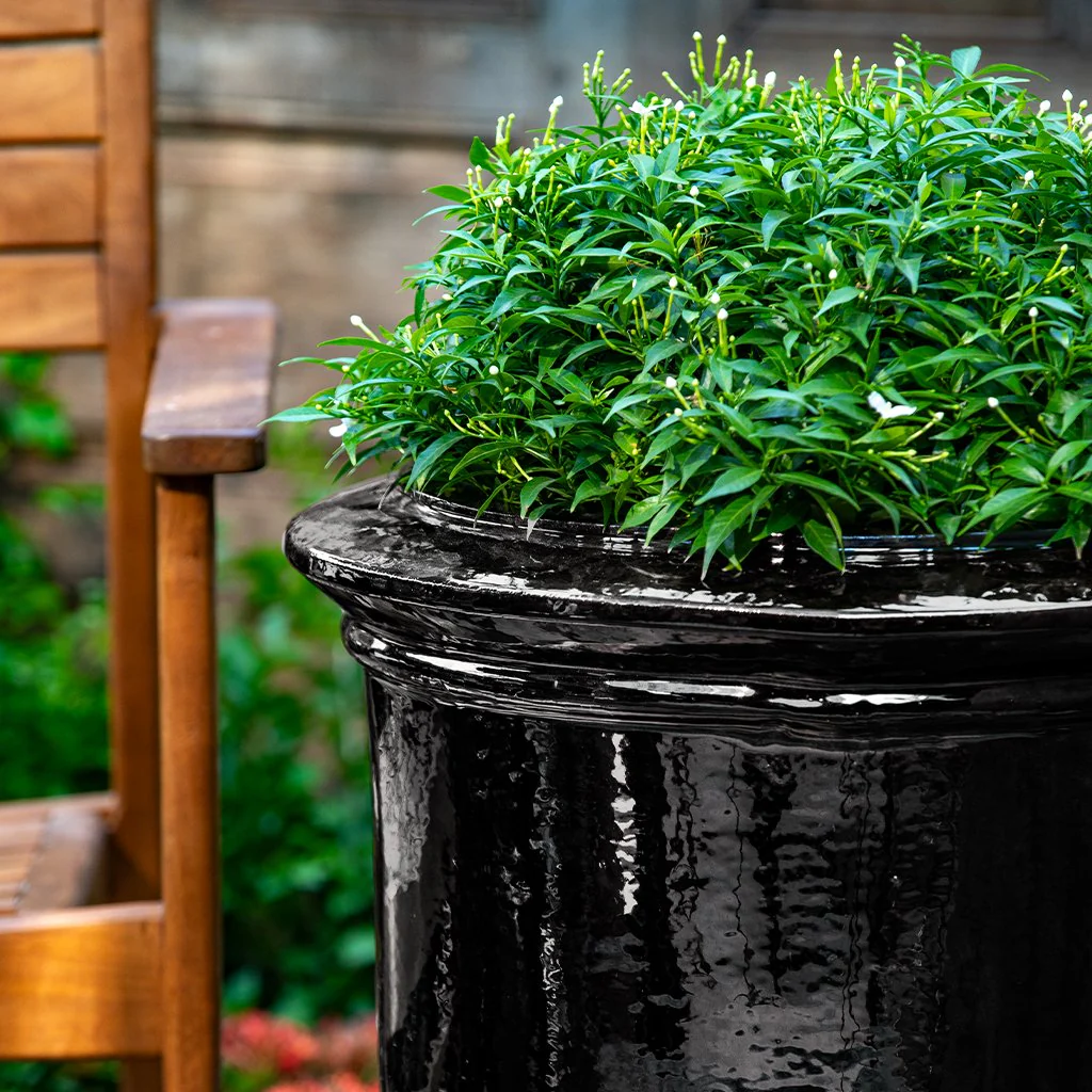Vaucluse Urn || Obsidian - Image 2